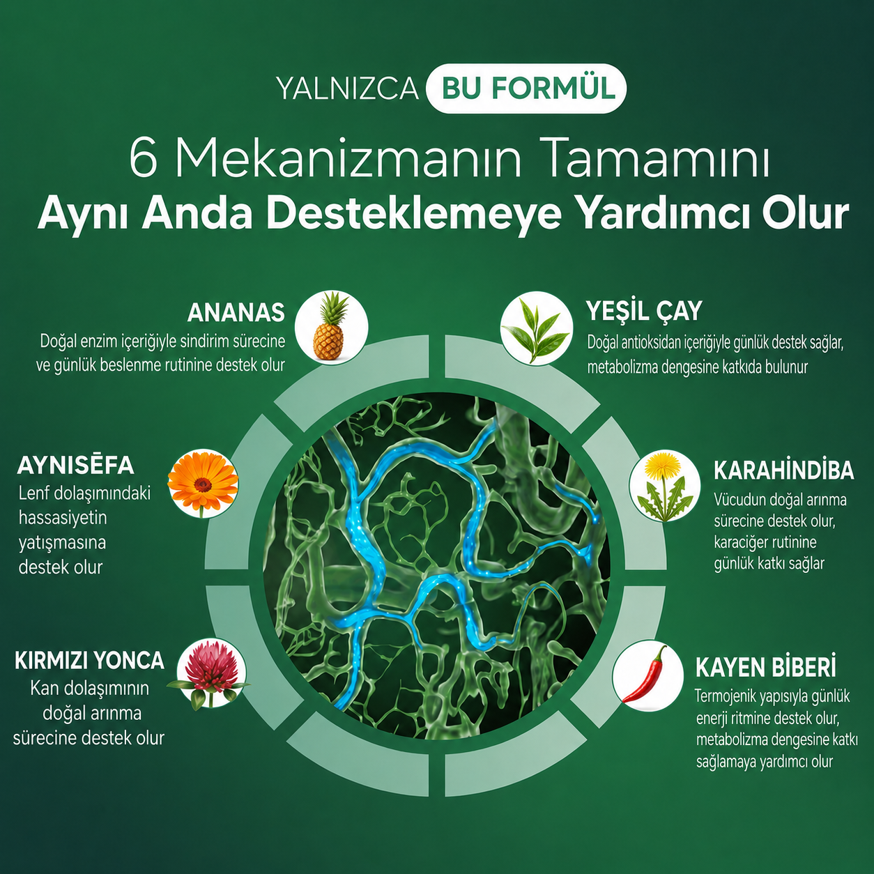 Nature Shine™ Bitkisel Karışım