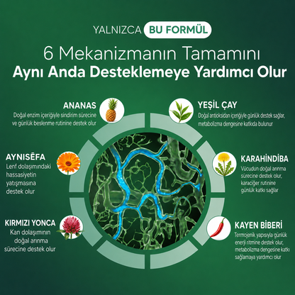 Nature Shine™ Bitkisel Karışım