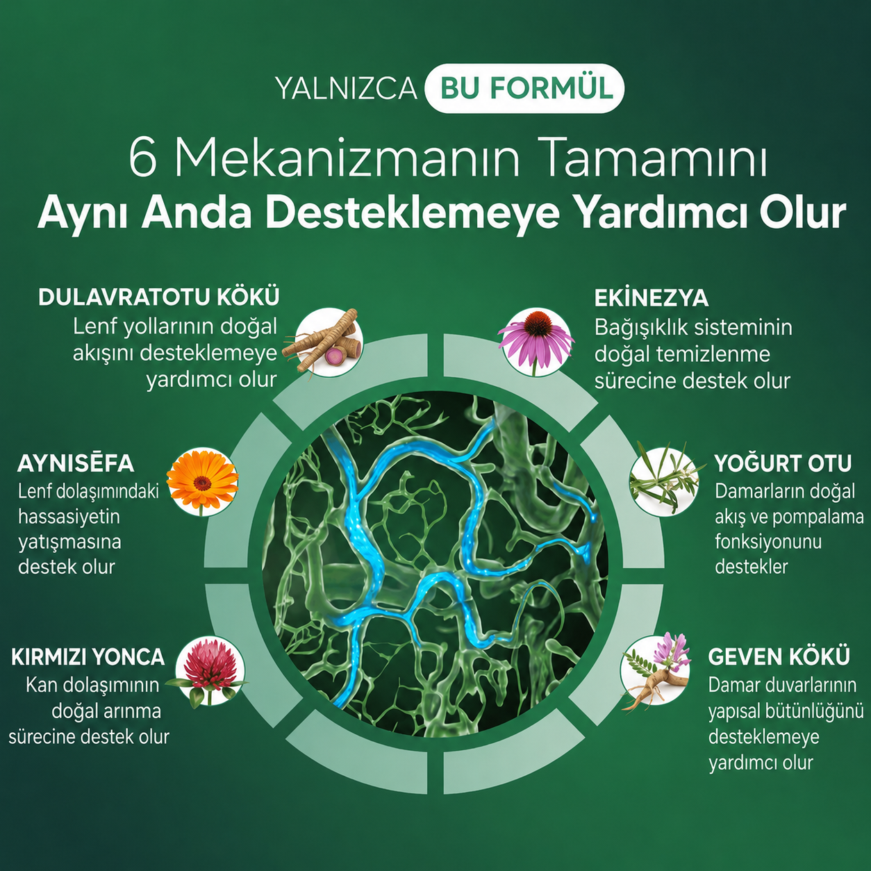 Nature Shine™ Lenfatik Drenaj | Bitkisel Karışım